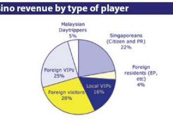 Casino Revenue by Player Type