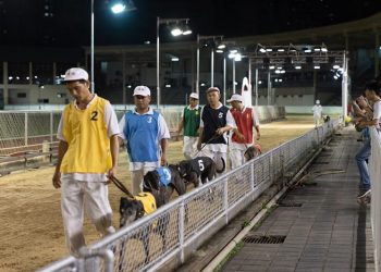 Macau Canidrome hosts last ever greyhound race meeting