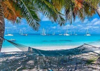 Authorities to investigate offshore gambling sites using Australian web domains