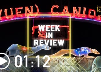 VIDEO: Week in Review