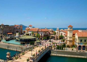 Wakayama sets 2024 as planned Japan IR launch date