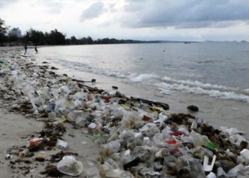 Sihanoukville casino ordered closed for multiple development, environmental violations