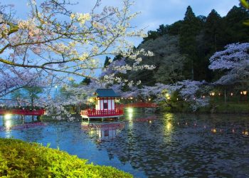 49% of Chiba residents opposed to a local IR