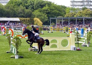 Pachinko operator Okura Holdings diversifies into horse training