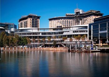 Domestic growth pushes Star Entertainment Group forward despite reduced spend by International VIPs