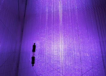 Sands to open permanent teamLab exhibition at The Venetian Macao’s Cotai Expo
