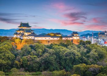 Wakayama’s IR bout