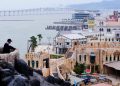 Levo Chan now largest single Macau Legend shareholder as David Chow sells down stake