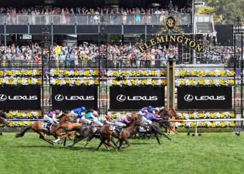 Australian sportsbooks set to cash in as iconic Melbourne Cup to run without a crowd in 2020