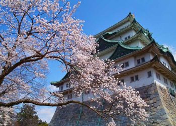 Aichi on track to join Japan IR race with operator discussions ongoing