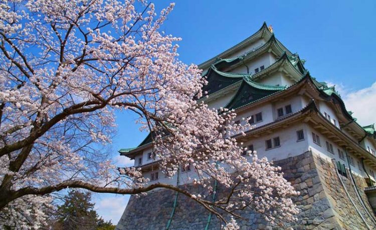 Aichi on track to join Japan IR race with operator discussions ongoing
