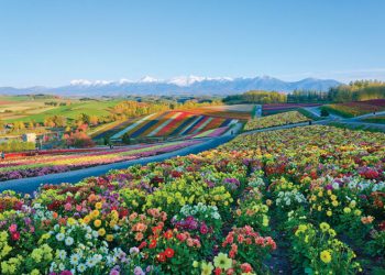 Still a chance for Hokkaido?