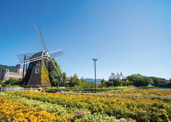 2021: Japan IR – Crunch time