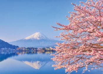 2021: Japan IR – Crunch time part 2