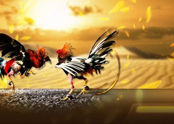 Philippines gaming technology firm DFNN to launch e-sabong