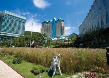 Damage Control – Korea’s COVID calamity