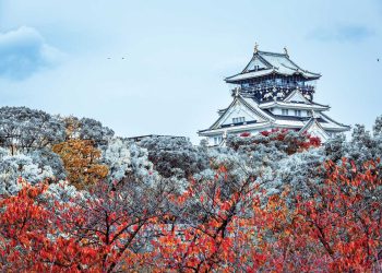 The Japan IR Industry: A Golden Opportunity Squandered