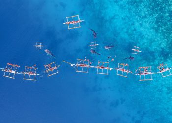 Editorial: The Philippines: Asia’s rising star