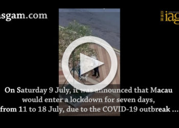 Dog walking, jogging and sitting in parks now criminal offences in Macau