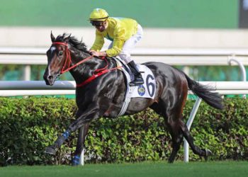 Hong Kong Jockey Club declares record turnover of HK$140 billion in 2021/22 racing season