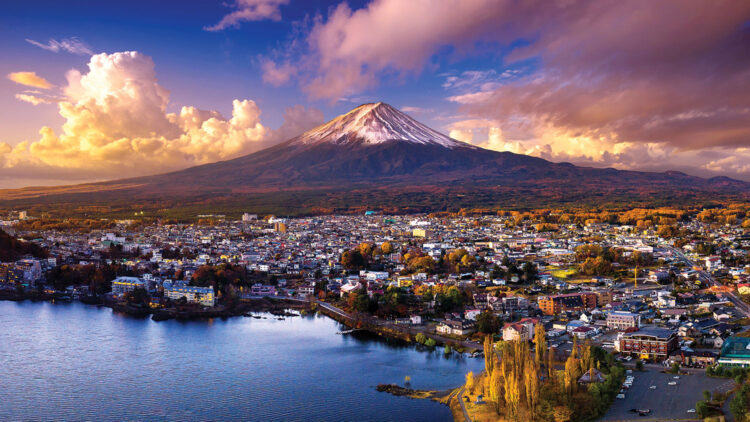 Regulatory issues in Japan