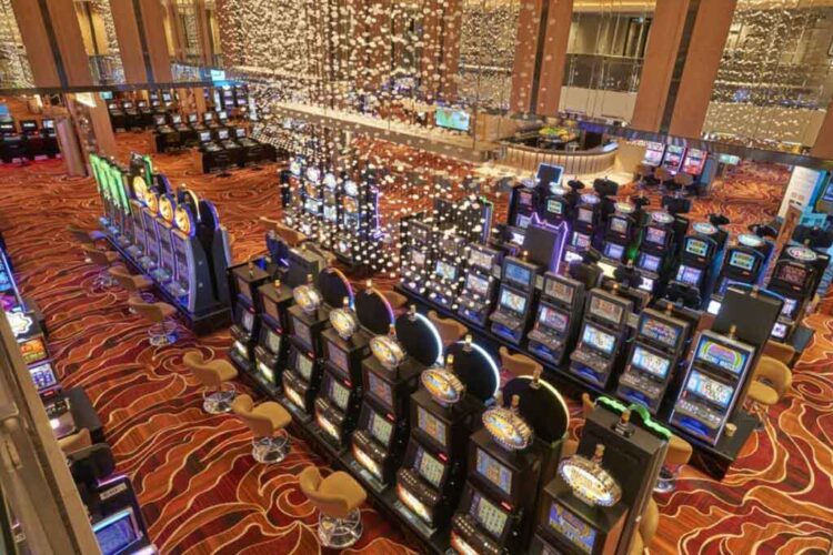 Study says no rush to introduce skill-based games to Australia on potential for long-term gambling harm