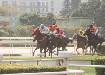 Legislative Assembly member claims to have received numerous requests for help from Macau Jockey Club employees