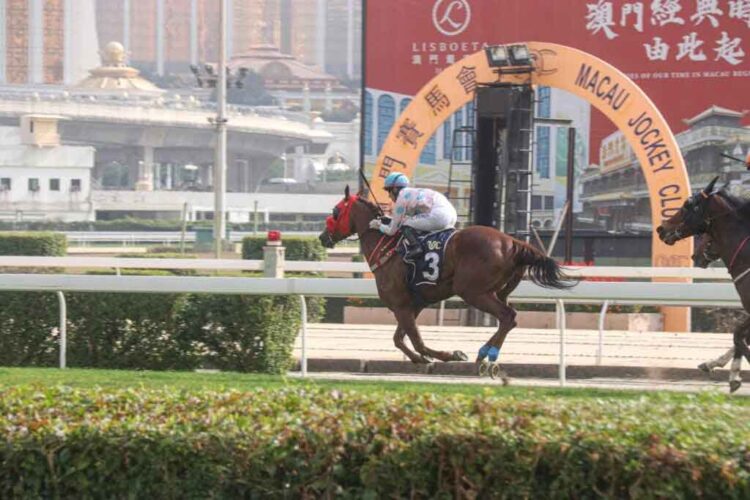Macau horse owners send open letter to government requesting compensation for losses due to MJC closure
