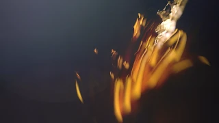 Aristocrat Gaming and Macau’s Studio City unveil new Dragon Zone experience