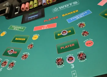 Solution Showcase: WDTS – Smart thinking