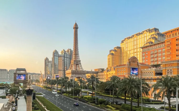 Promo costs: Market share or margin?