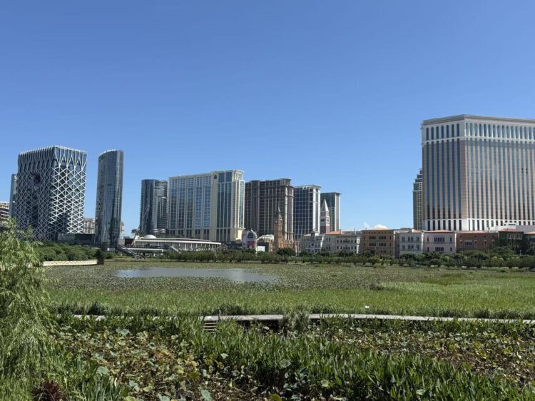 Macau GGR up 14.4% year-on-year to MOP$21.1 billion in November